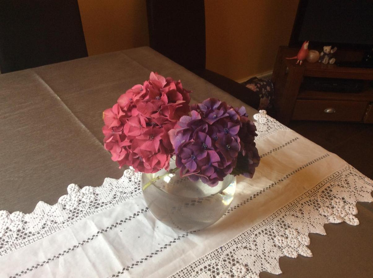 إينفيرنيس Rosebank Guest House المظهر الخارجي الصورة